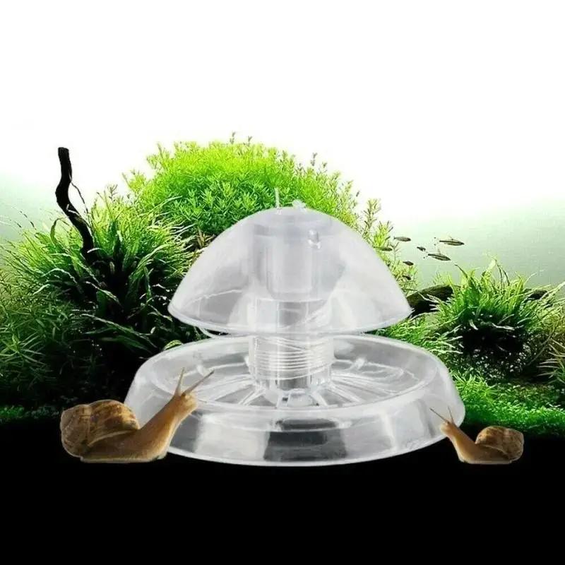 Fish Aquarium Home - 2026 New 6/8CM Clear Plastic Snail