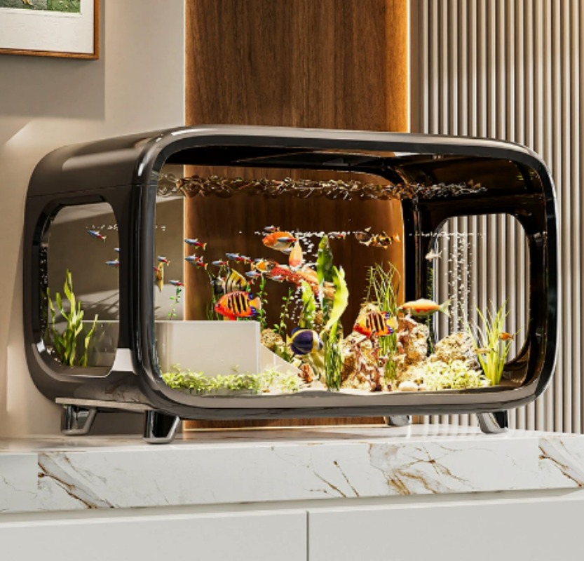 Fish Aquarium Home - Creative Transparent Ecological Fish Tank with