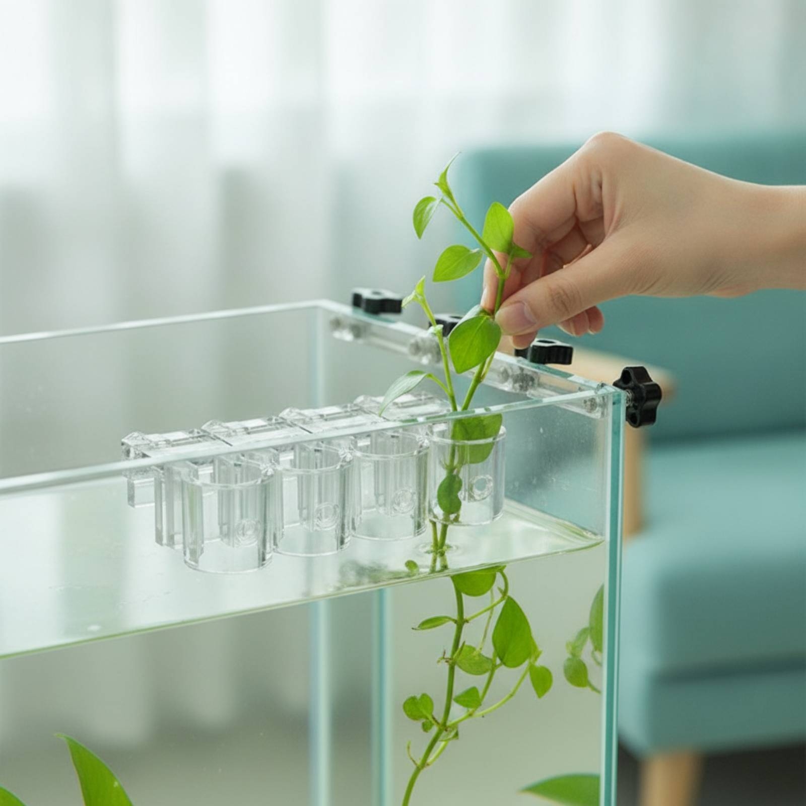 6 Pieces Aquarium Planter Clea - Aquarium Plants review and price
