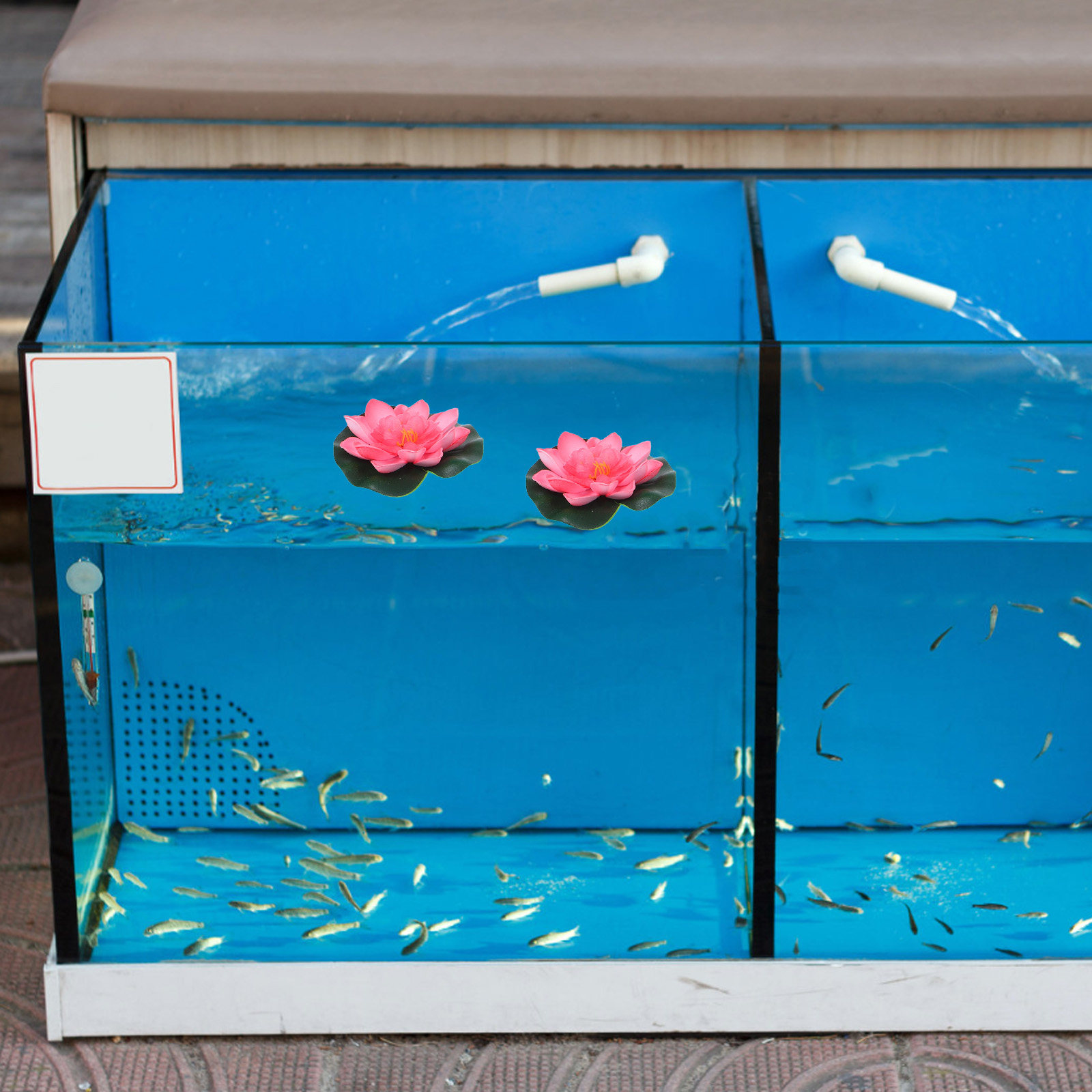 12Pcs Artificial Floating Wate - Aquarium Decor review and price