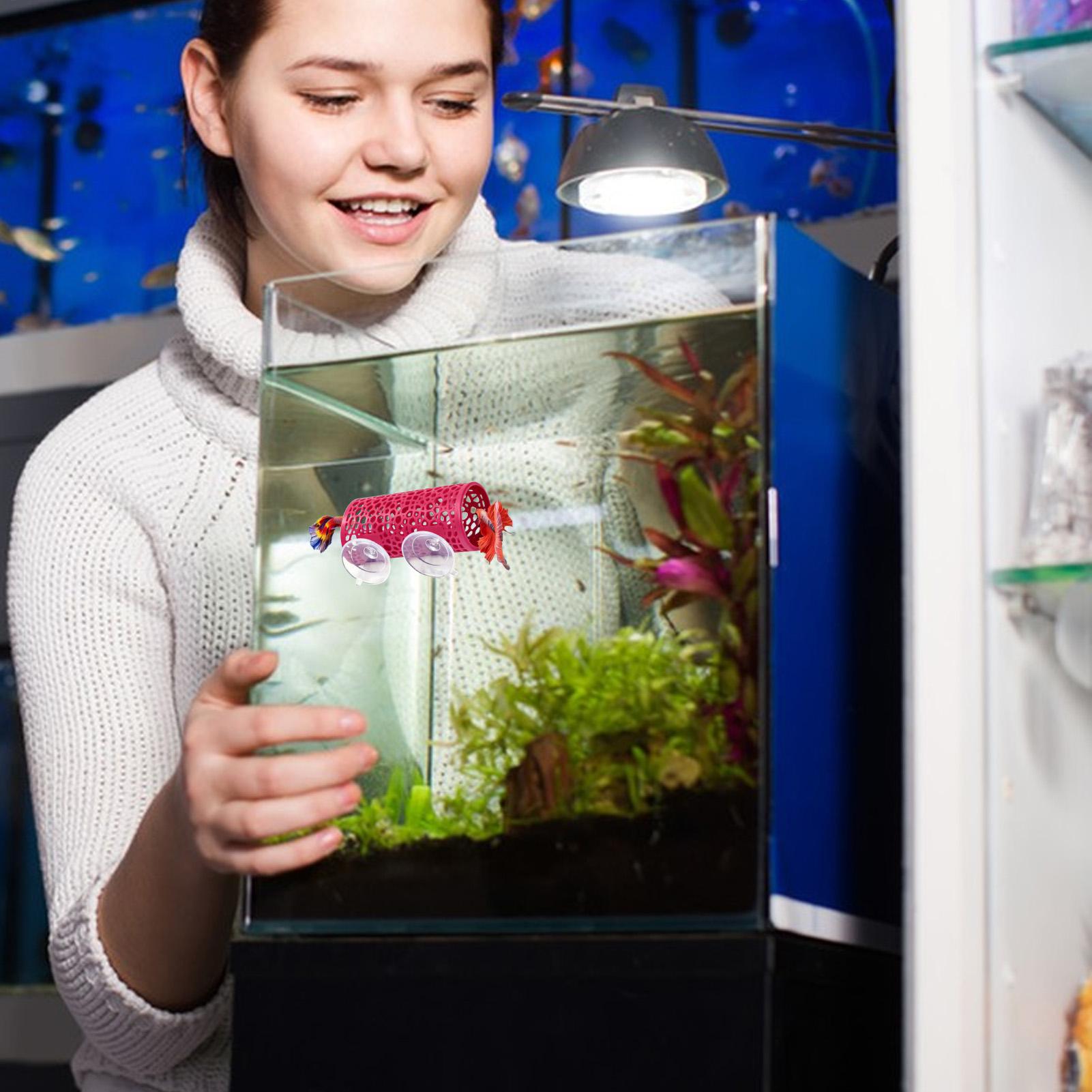 Betta Habitat Resting Shelter  - Betta Fish Tank review and price
