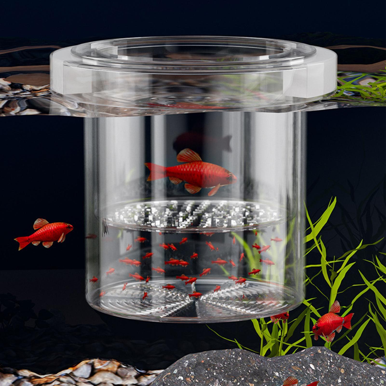 Durable Fish Breeder Box Fish  - Betta Fish Tank review and price