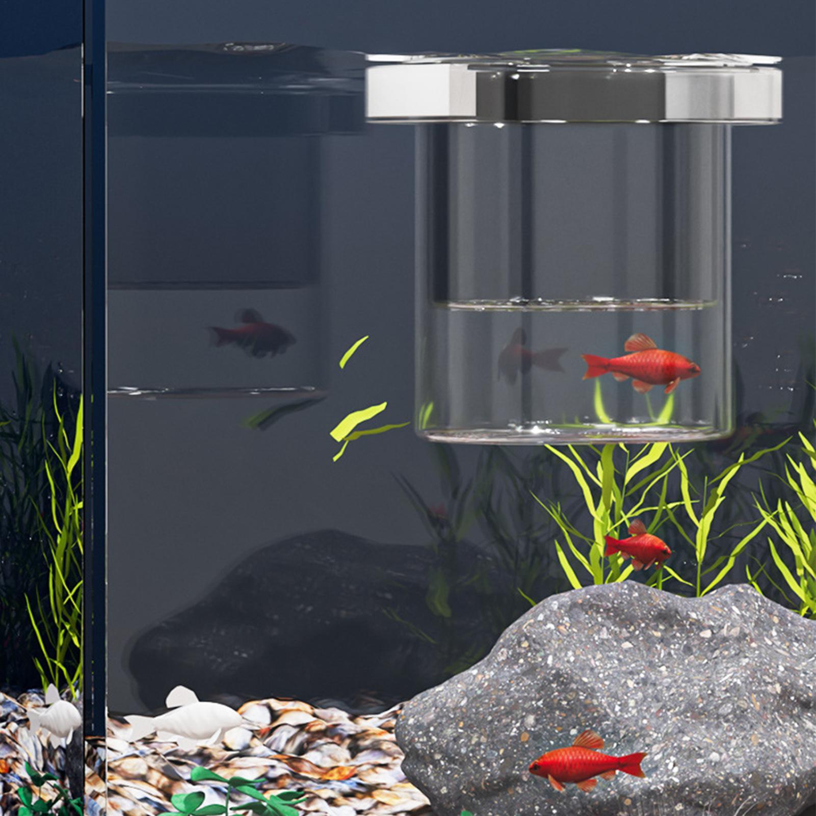 Durable Fish Breeder Box Fish  - Betta Fish Tank review and price