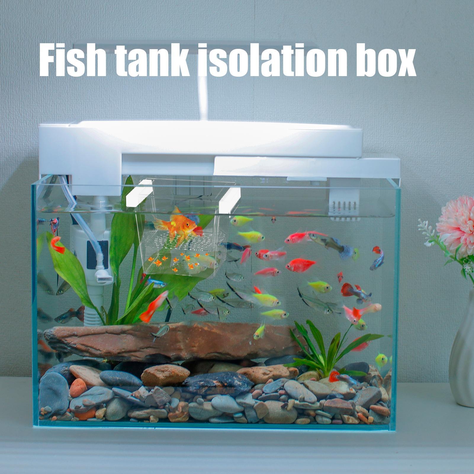 Durable Fish Breeder Box Fish  - Betta Fish Tank review and price