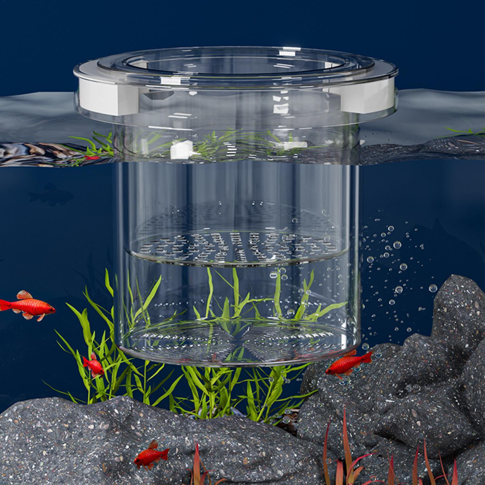 Floating Fish Breeding Isolati - Betta Fish Tank review and price