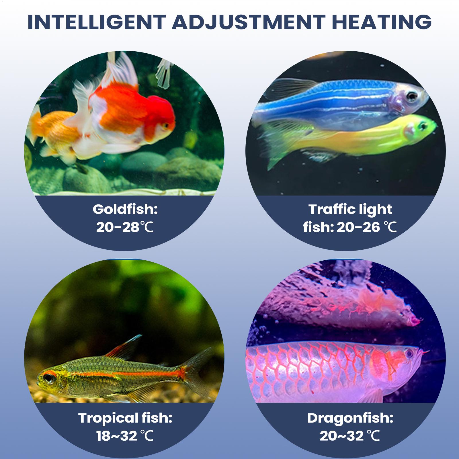 Aquarium Air Pump Portable Aqu - Aquarium Pump review and price