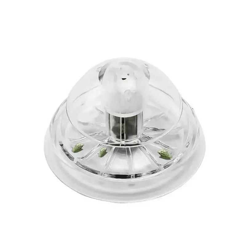 2026 New 6/8CM Clear Plastic S - Fish Aquarium Home review and price