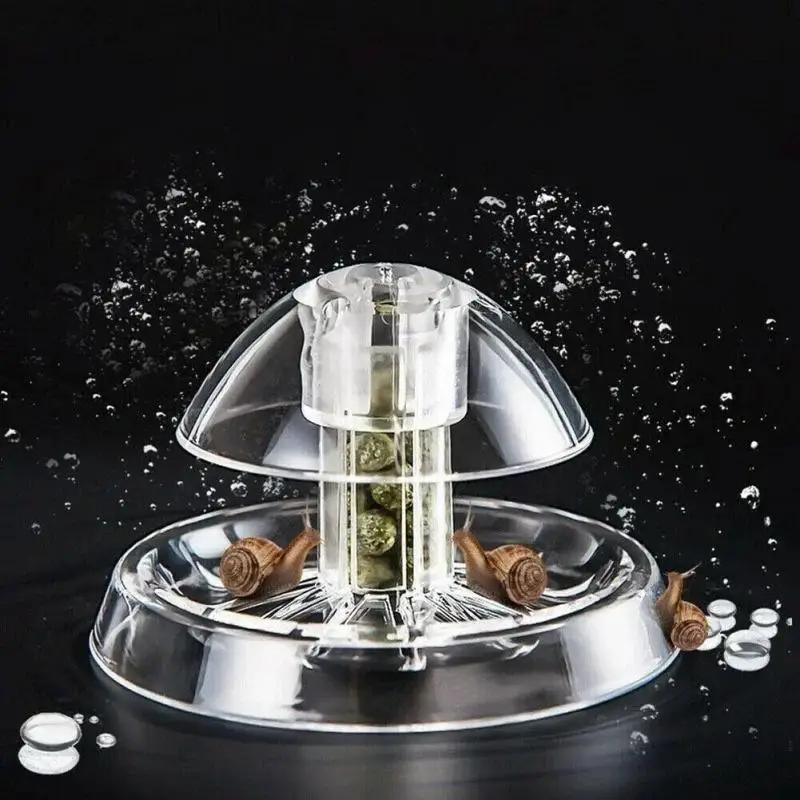 2026 New 6/8CM Clear Plastic S - Fish Aquarium Home review and price
