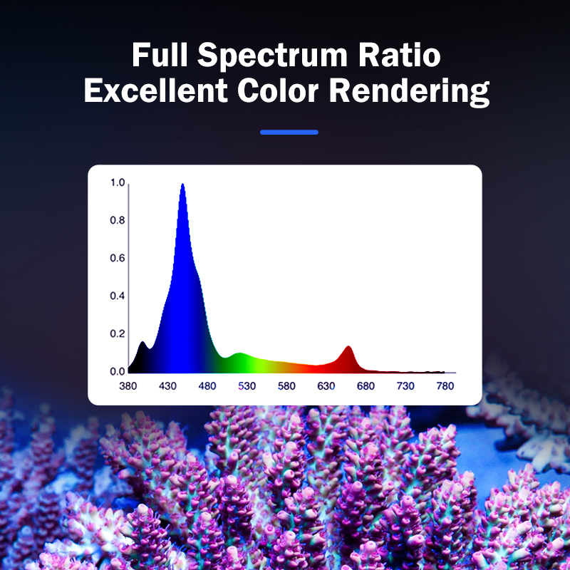 Hot KASSRAY T169/T215 CREEs LE - Aquarium Light review and price