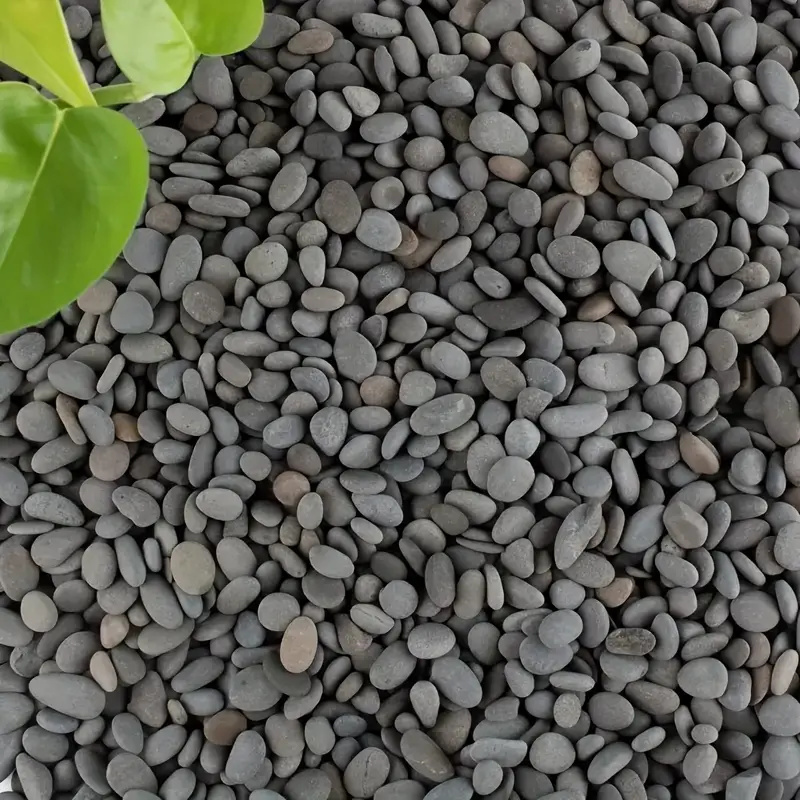 20Pcs Natural River Rocks Smoo - Fish Tank Gravel review and price