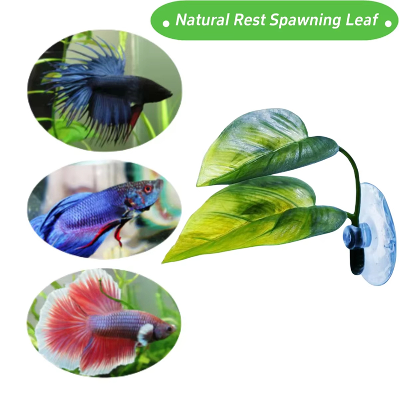 Aquarium Pet Supplies Decorati - Betta Fish Tank review and price