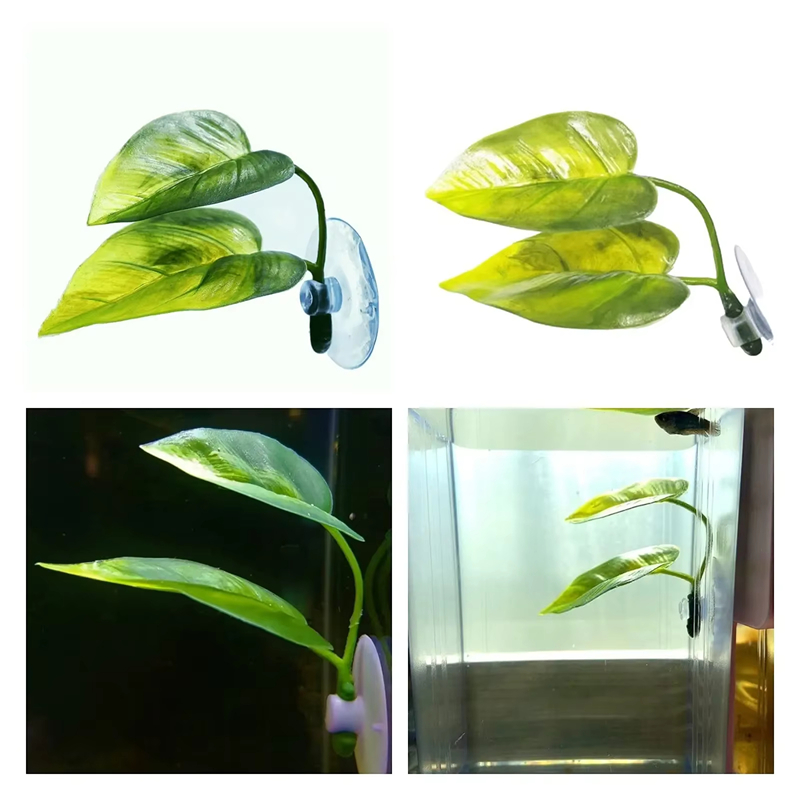 Aquarium Pet Supplies Decorati - Betta Fish Tank review and price