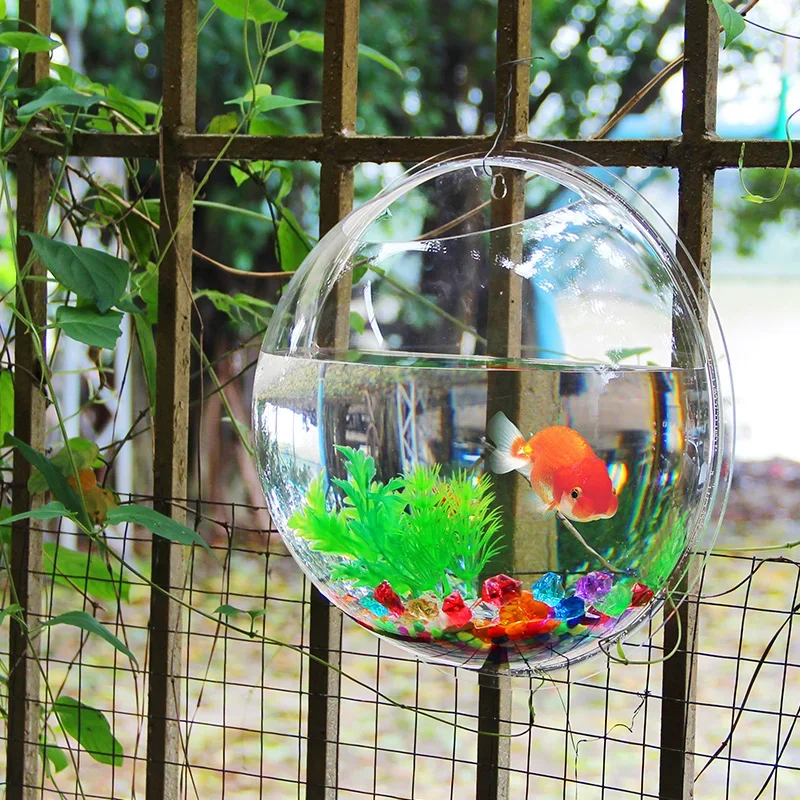 Pinsjar Acrylic Fish Bowl Wall - Betta Fish Tank review and price