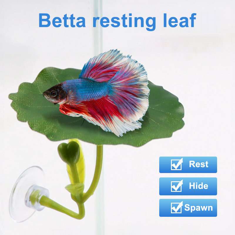 (Ce14)1/5PC Green Leaf Hammock - Betta Fish Tank review and price