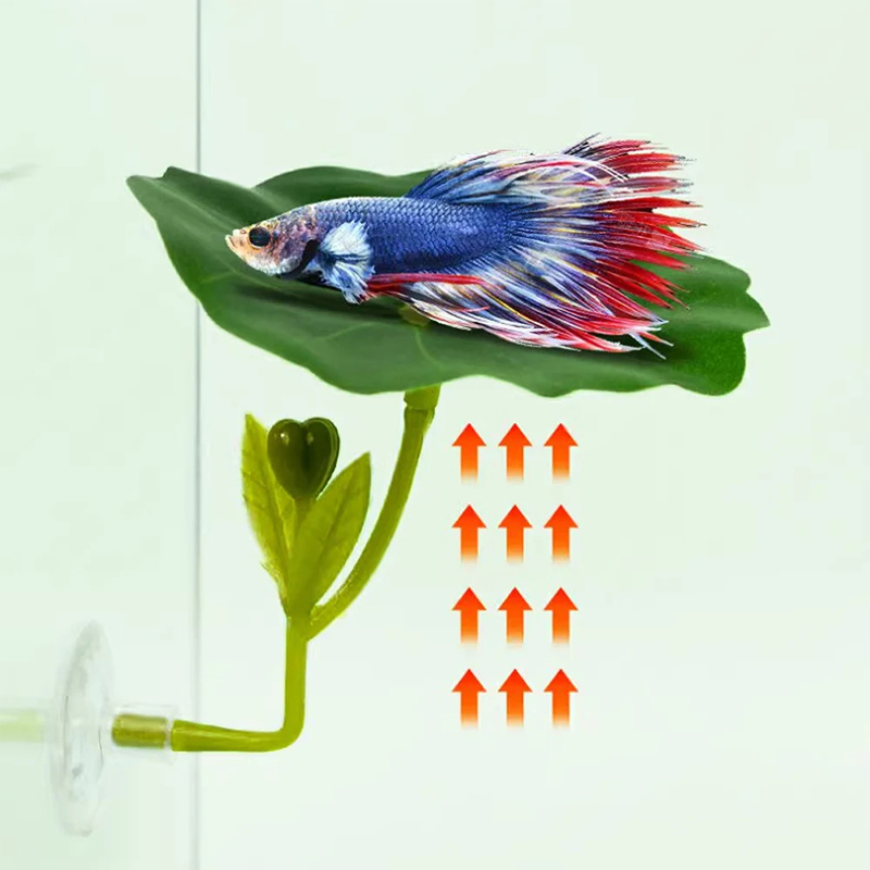 (Ce14)1/5PC Green Leaf Hammock - Betta Fish Tank review and price