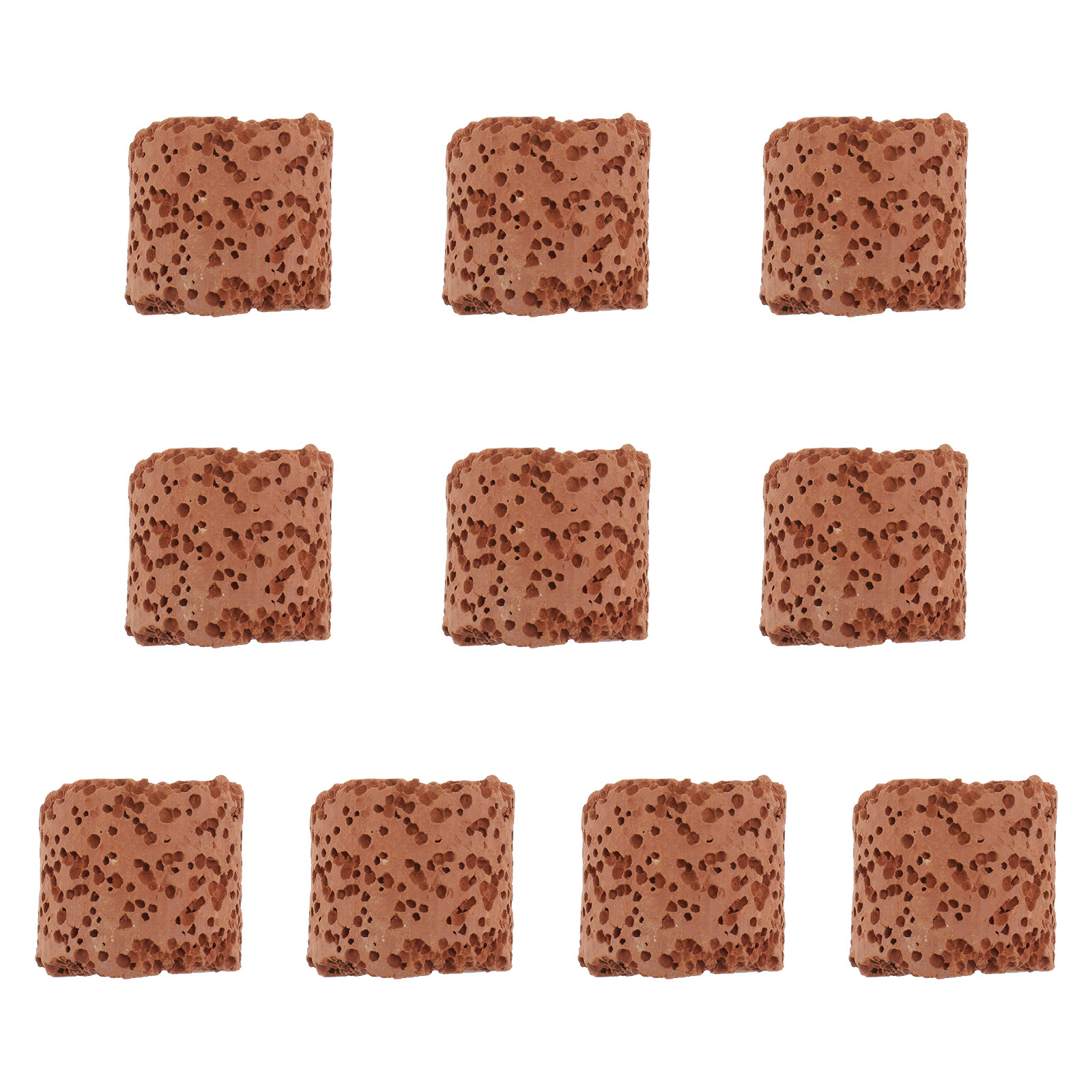 10Pcs Fixed Ring for Aquarium  - Aquarium Plants review and price