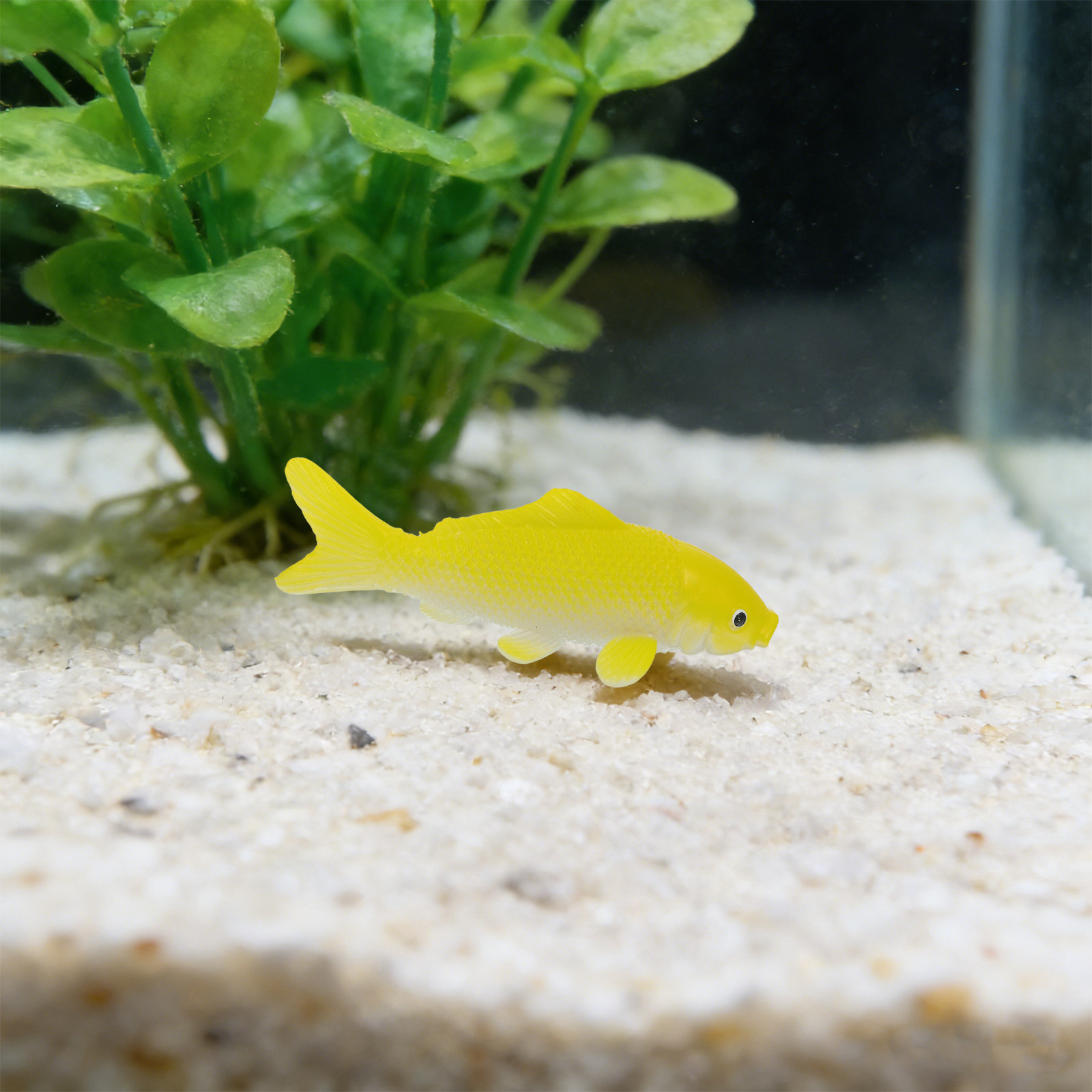 3pcs Fish Crafts Toys Realisti - Fish Aquarium Home review and price