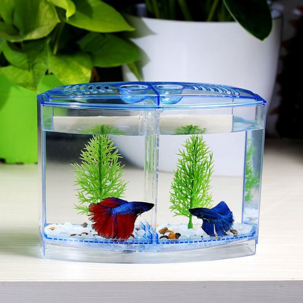 Transparent Betta Fish Tank, D - Betta Fish Tank review and price