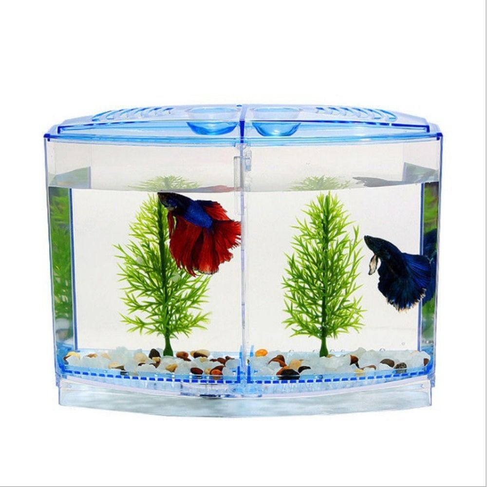 Transparent Betta Fish Tank, D - Betta Fish Tank review and price