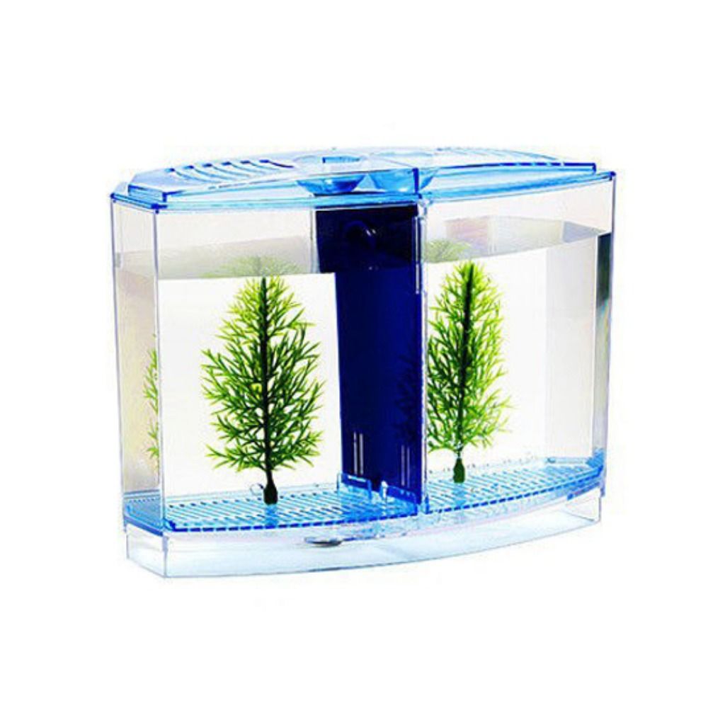 Transparent Betta Fish Tank, D - Betta Fish Tank review and price