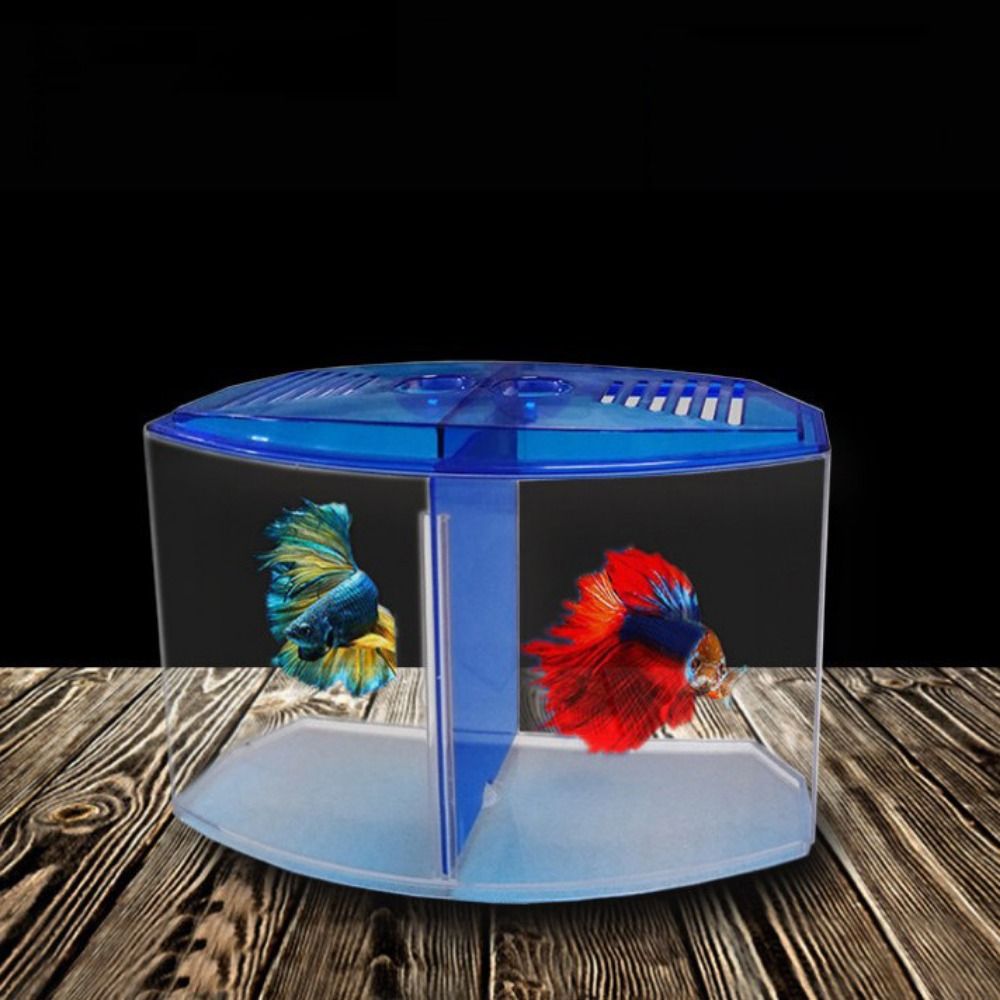 Transparent Betta Fish Tank, D - Betta Fish Tank review and price