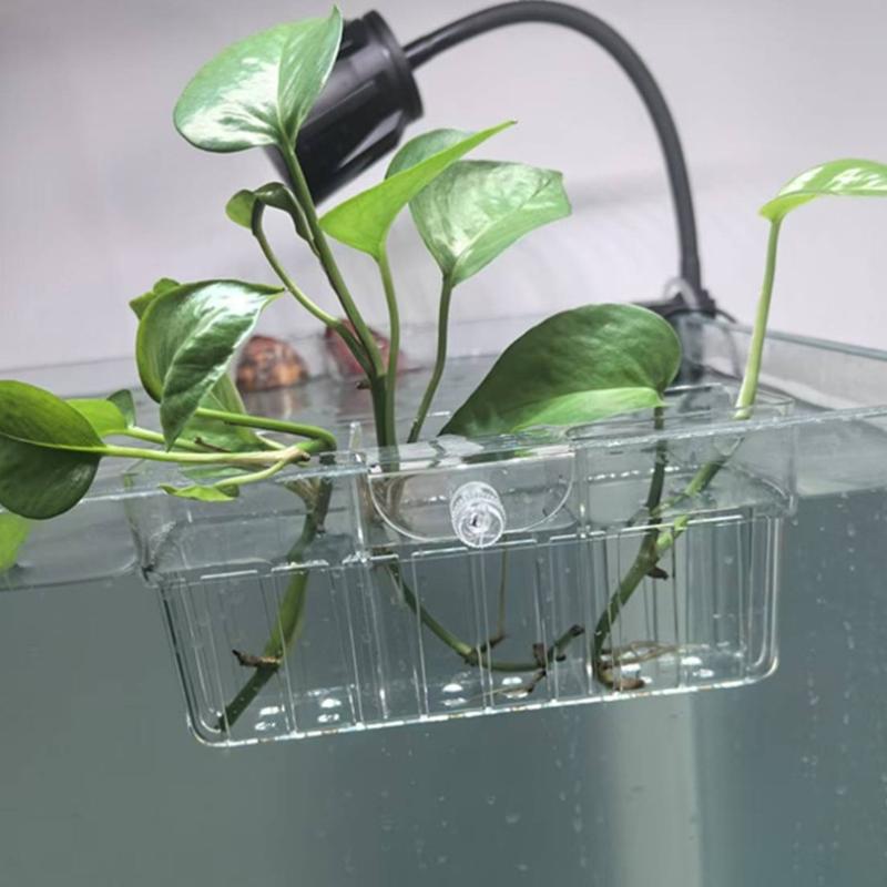 Hydroponic Plant Basket Food G - Aquarium Decor review and price