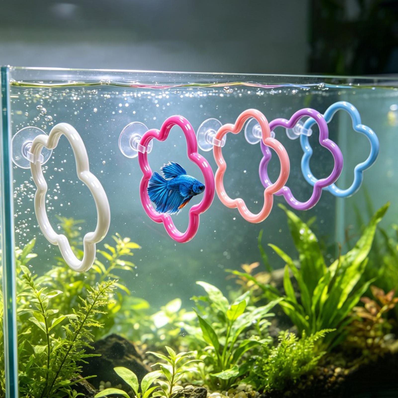 Betta Fish Toys 5 Pieces Color - Aquarium Fish Betta review and price