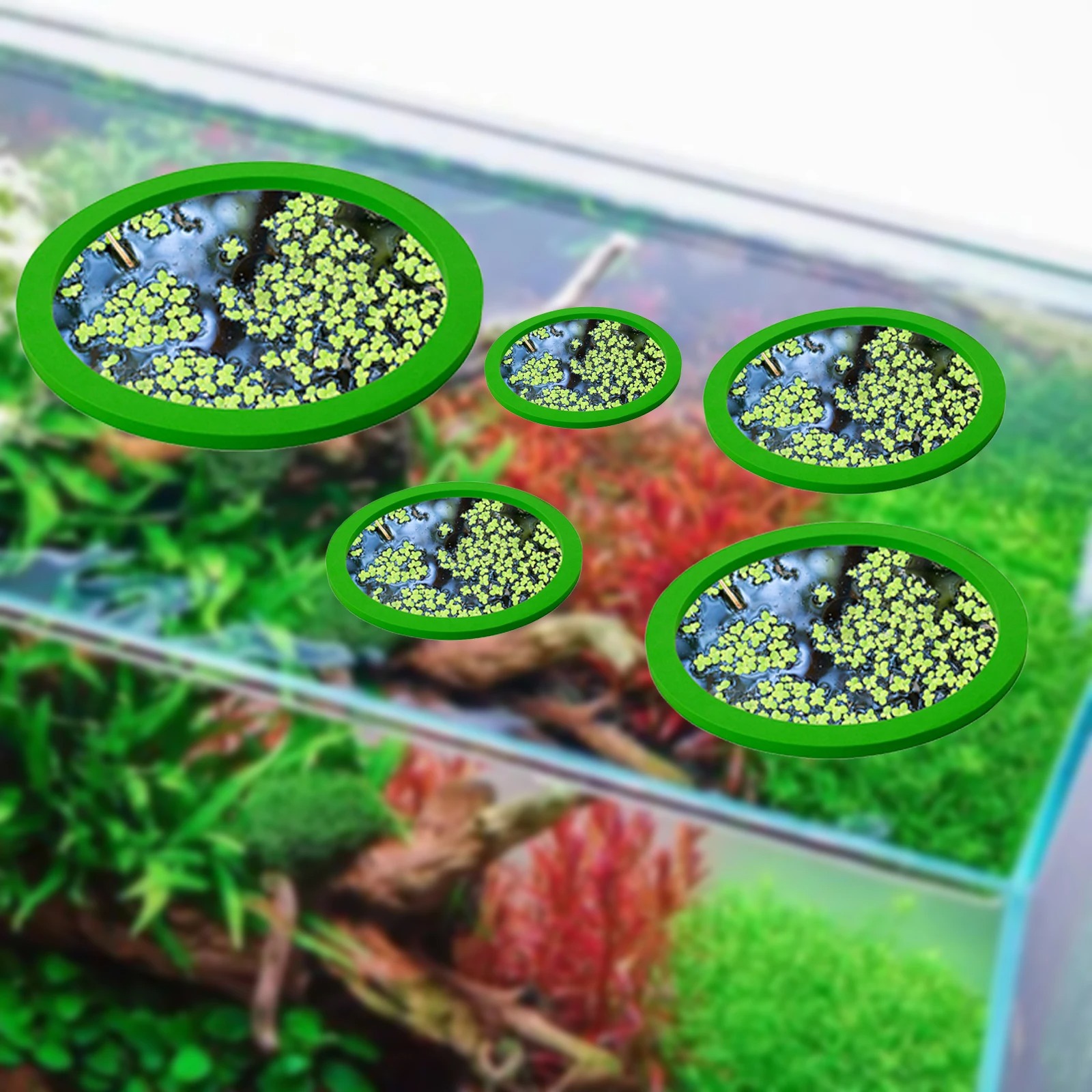5Pcs EVA Fish Feeding Ring Aqu - Fish Aquarium Home review and price