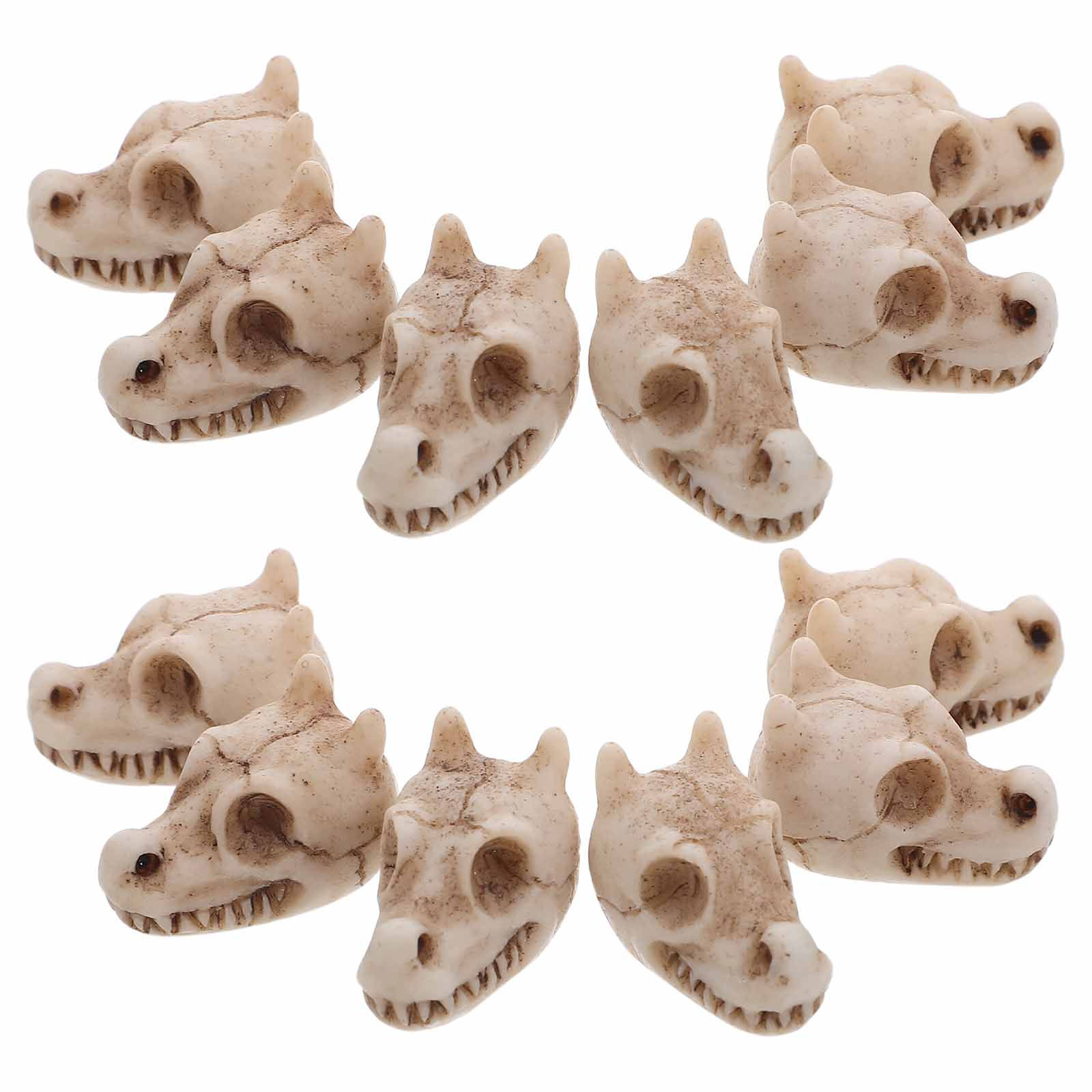 20Pcs Mini Dragon Skull Resin  - Aquarium Decor review and price