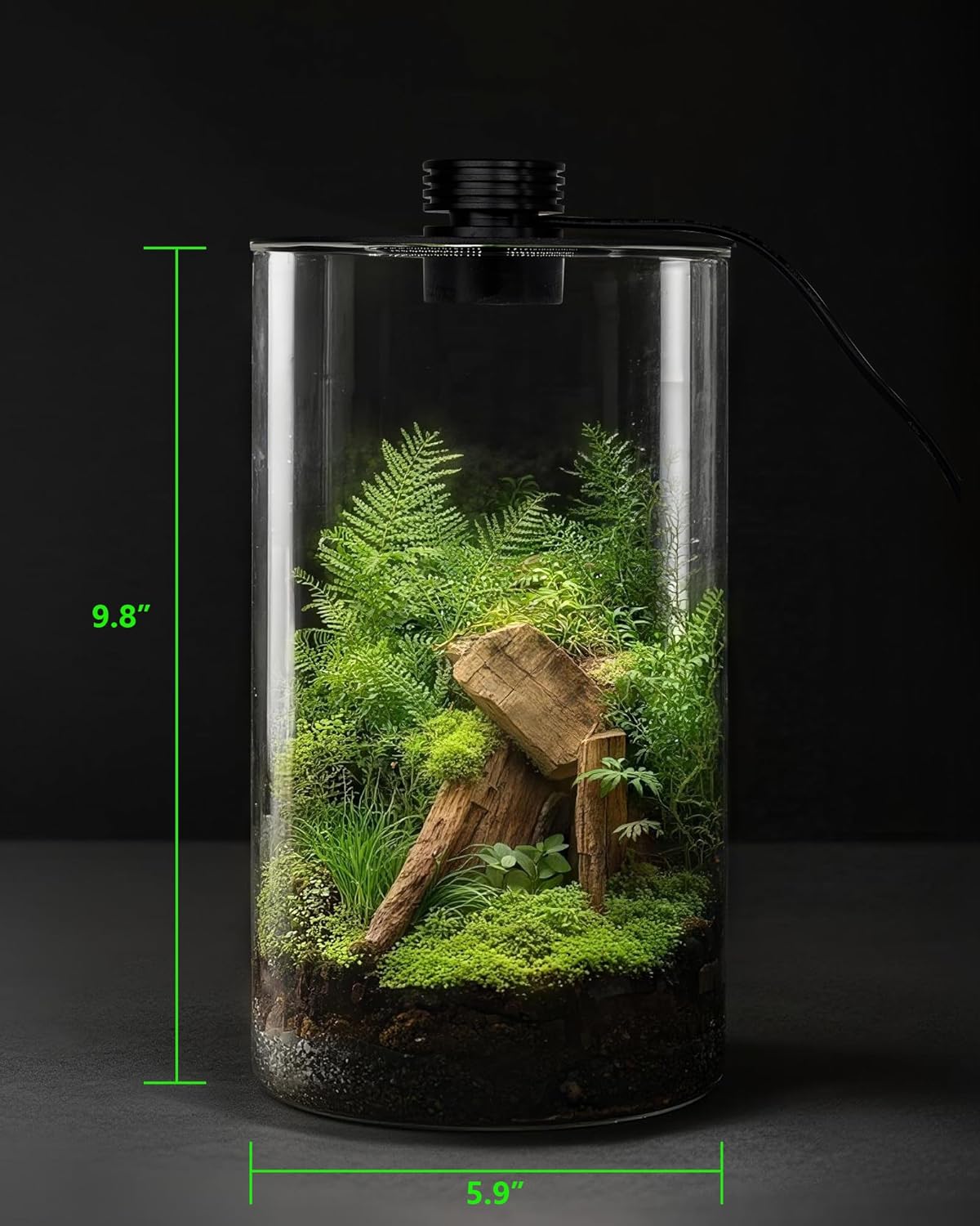Indoor Glass Terrarium with Gr - Betta Fish Tank review and price