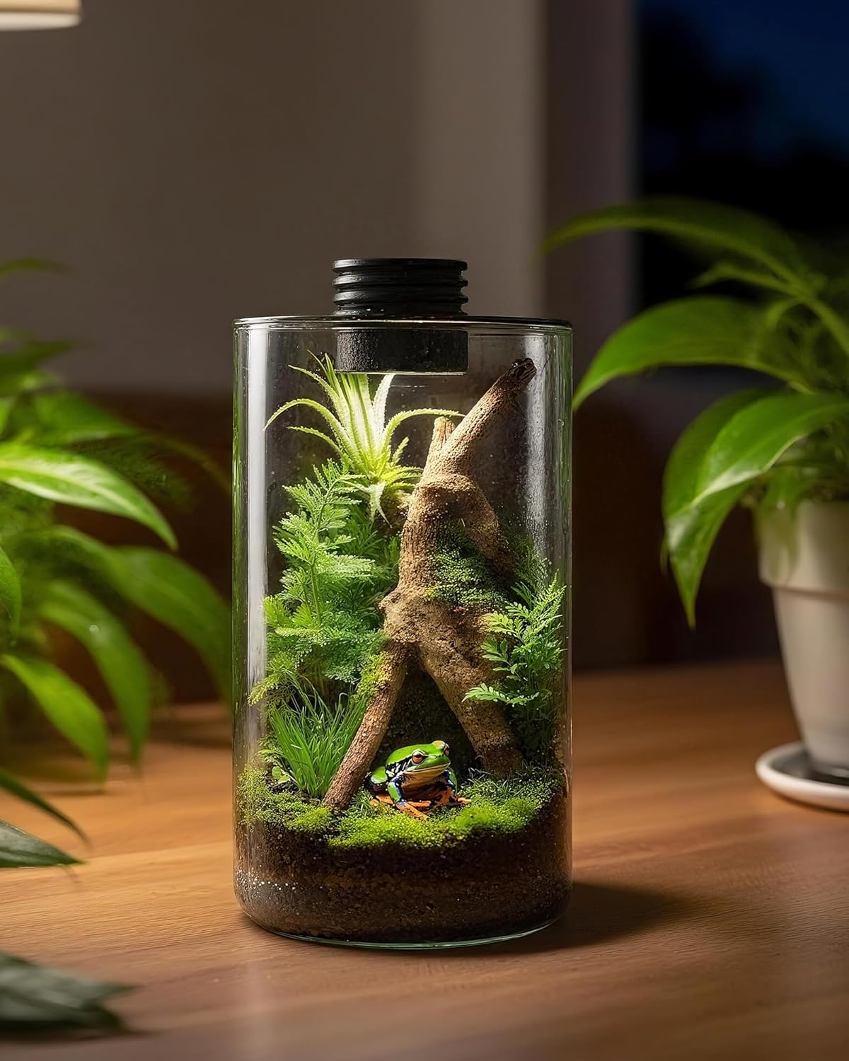 Indoor Glass Terrarium with Gr - Betta Fish Tank review and price