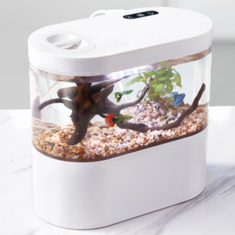 Creative Mini Desktop Fish Tan - Betta Fish Tank review and price