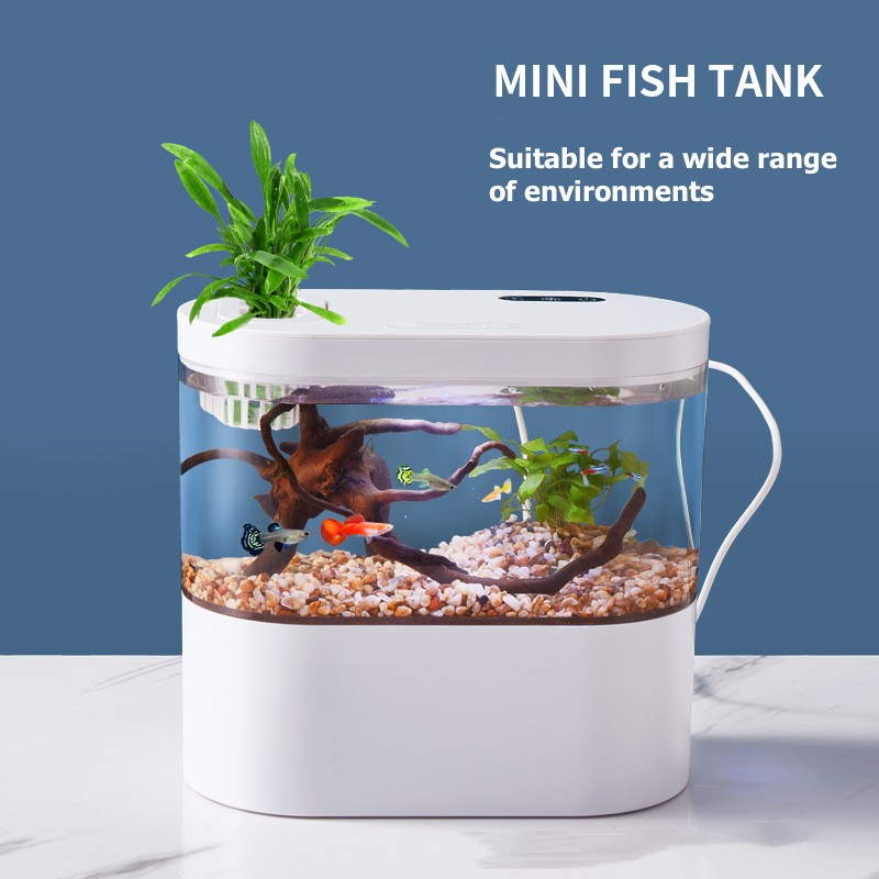 Creative Mini Desktop Fish Tan - Betta Fish Tank review and price