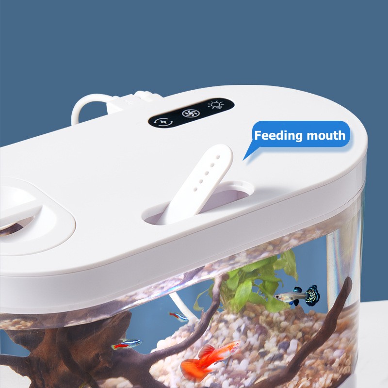 Creative Mini Desktop Fish Tan - Betta Fish Tank review and price