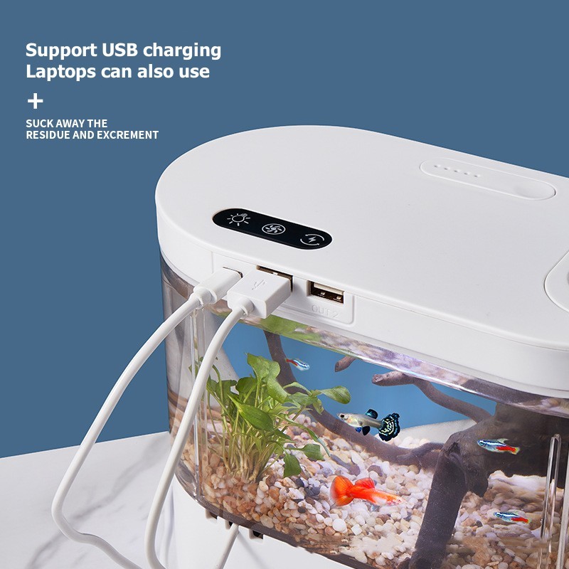 Creative Mini Desktop Fish Tan - Betta Fish Tank review and price