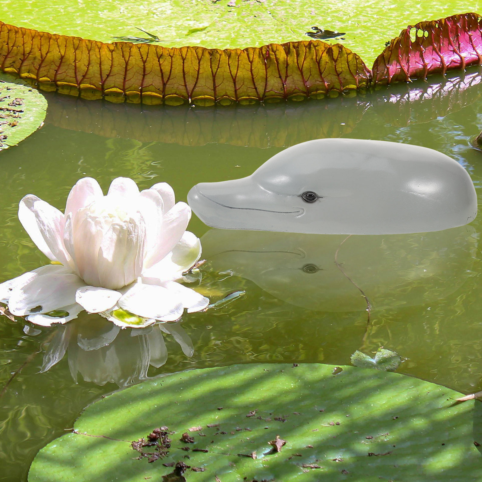 Premium Resin Dolphin Head Orn - Aquarium Decor review and price