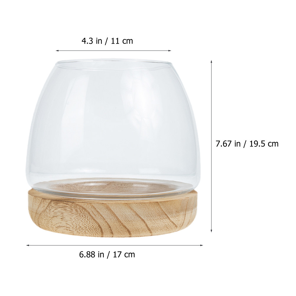 1Set Clear Glass Hydroponic Pl - Aquarium Plants review and price
