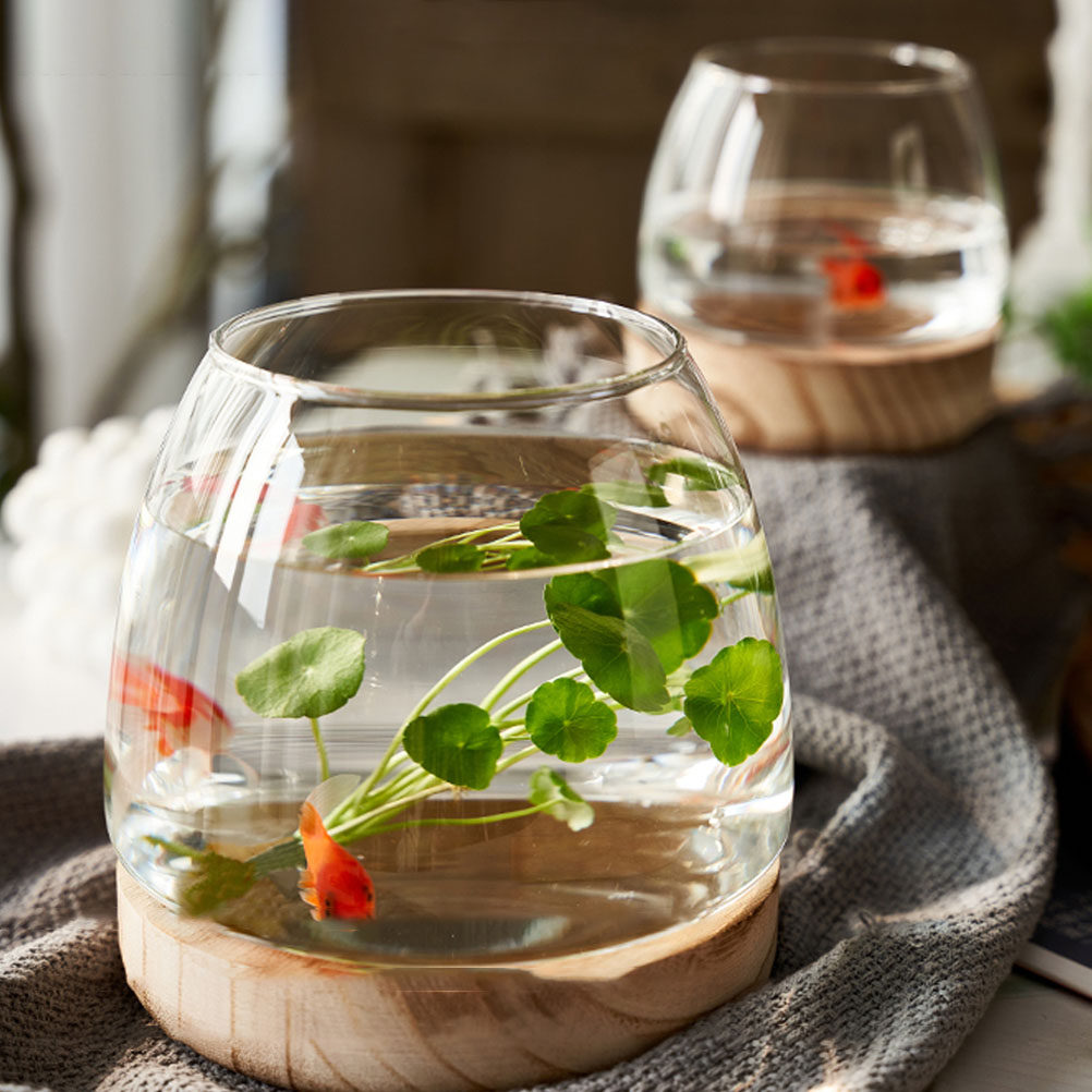 1Set Clear Glass Hydroponic Pl - Aquarium Plants review and price